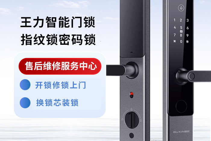 王力智能防盜門(mén)鎖